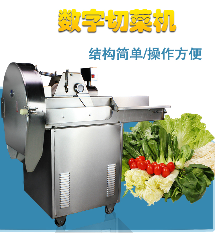 CHD-80(sh)в˙C_01.jpg
